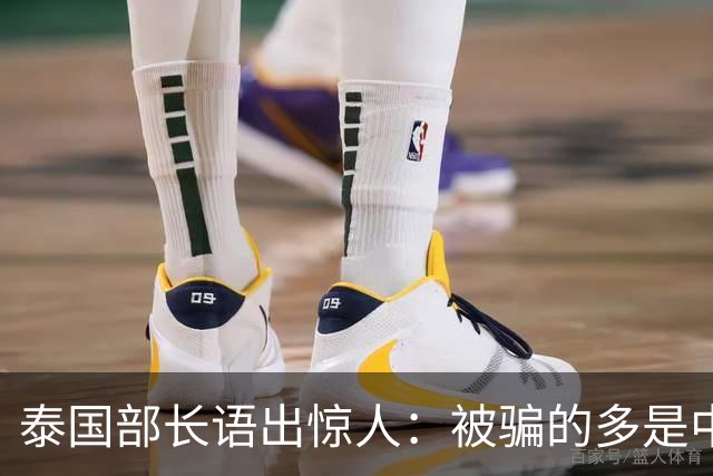 泰国部长语出惊人：被骗的多是中国人，是受害者自己贪心